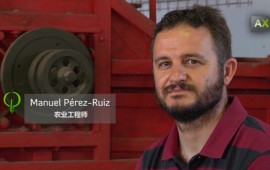 MANUEL PEREZ